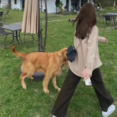 下床夫妻